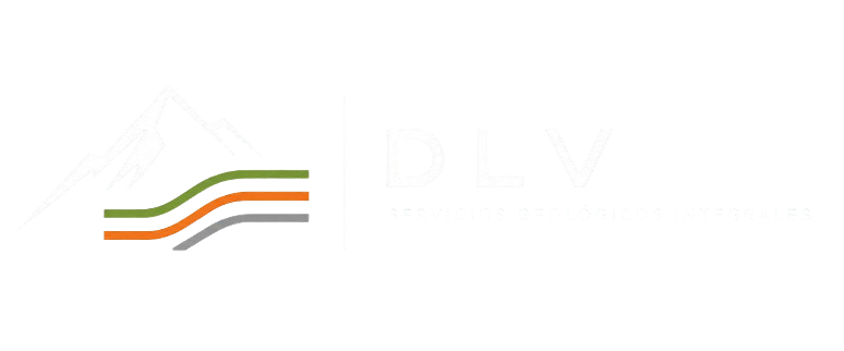 DLV SRL